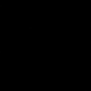 Meet your Posher, Tamekia